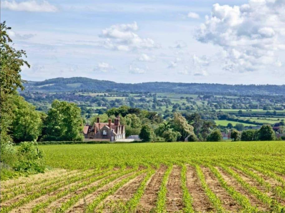 Stags Barn Saxon Maybank Sherborne  Luaran gambar